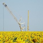 Windkraftanlage 11647