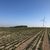 Windkraftanlage 13245