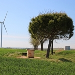 Windkraftanlage 13932