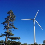 Windkraftanlage 211