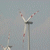 Turbine 2415