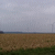 Windkraftanlage 2748