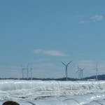 Windkraftanlage 3148