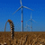 Windkraftanlage 4064