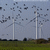 Windkraftanlage 47