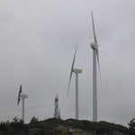 Windkraftanlage 561