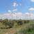 Windkraftanlage 6890
