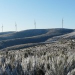 Turbine 7855