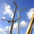 Zur Bildvergrößerung anklicken Windkraftanlage 10107