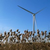 Zur Bildvergrößerung anklicken Windkraftanlage 10114
