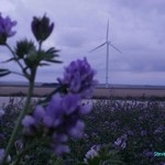 Click to increase the image size Turbine 10304