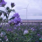 Click to increase the image size Turbine 10305