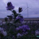 Click to increase the image size Turbine 10306
