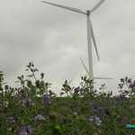 Click to increase the image size Turbine 10314