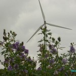 Click to increase the image size Turbine 10325