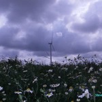 Click to increase the image size Turbine 10337