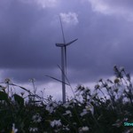 Click to increase the image size Turbine 10339