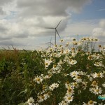 Click to increase the image size Turbine 10342