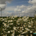Click to increase the image size Turbine 10343