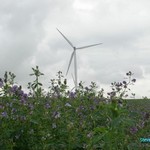 Click to increase the image size Turbine 10347