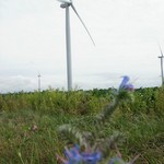 Click to increase the image size Turbine 10360