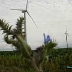 Click to increase the image size Turbine 10361
