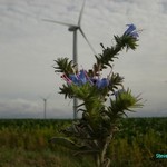 Click to increase the image size Turbine 10362