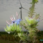 Click to increase the image size Turbine 10363