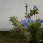 Click to increase the image size Turbine 10365