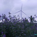 Click to increase the image size Turbine 10369