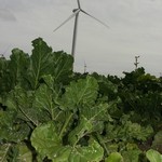 Click to increase the image size Turbine 10371
