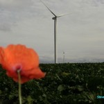 Click to increase the image size Turbine 10373