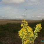 Click to increase the image size Turbine 10377