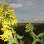 Click to increase the image size Turbine 10378
