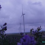 Click to increase the image size Turbine 10380
