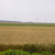 Click to increase the image size Aérogénérateur 1047