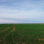 Turbine 11187