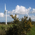 Windkraftanlage 1142