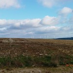 Cliquez pour agrandir Turbine 11459