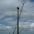 Windkraftanlage 12412
