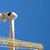 Click to increase the image size Turbine 12734