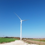 Turbine 12981