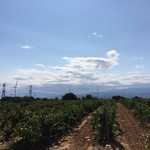 Cliquez pour agrandir Turbine 13202