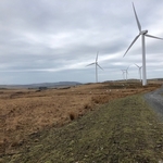 Turbine 13279