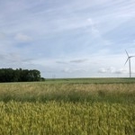 Turbine 13481