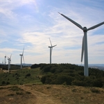Zur Bildvergrößerung anklicken Windkraftanlage 13980