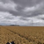 Windkraftanlage 14169