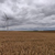 Windkraftanlage 14170