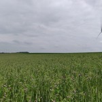 Click to increase the image size Turbine 14413