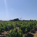 Cliquez pour agrandir Turbine 14505
